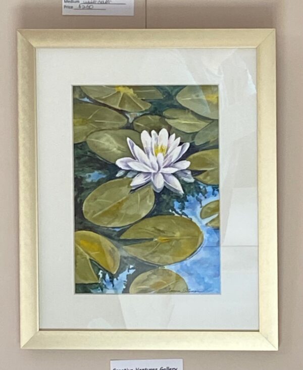 Lily on a Pond by Susan A. Peterson