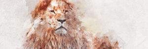 watercolor painting of a lion