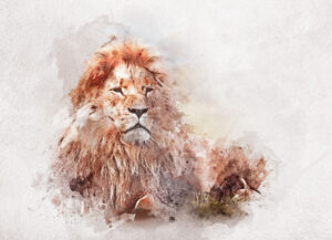 watercolor painting of a lion