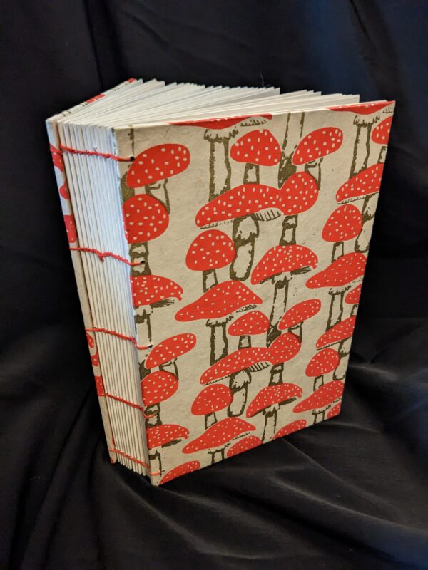 Lauren Steele - Coptic book
