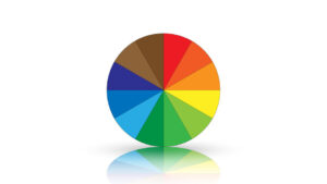 Circle color palette on a white background. Circle reflection on a white background.