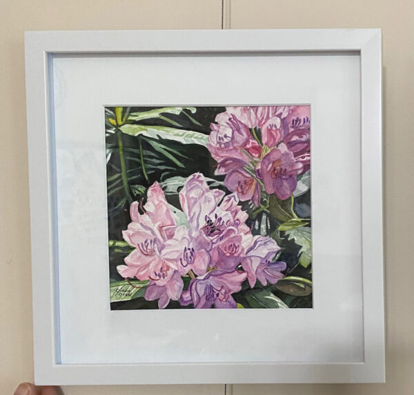 Pink Rhodi Blooms by Diane Orzel