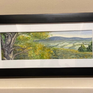 Mountain Vista by Diane Orzel