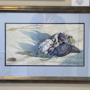 Shell Collection I by Diane Orzel