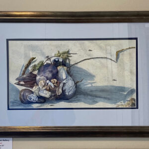 Shell Collection II by Diane Orzel