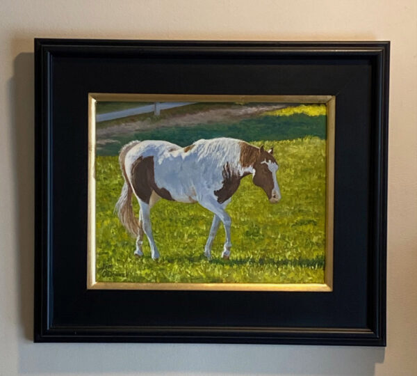 Mrs. Ed by James O'Donnell