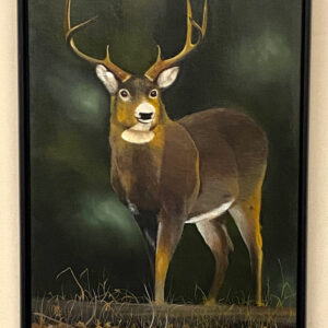 Deer by William Cheever Turner