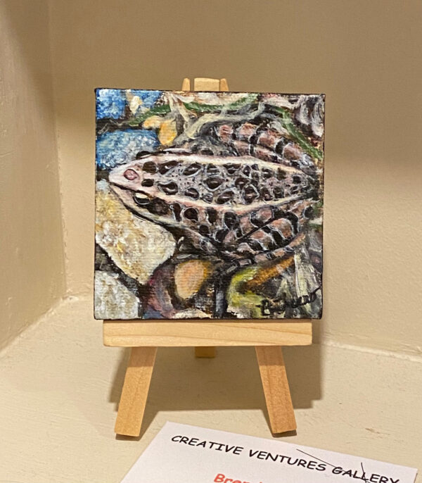 Pickerel Frog by Brenda Ferro