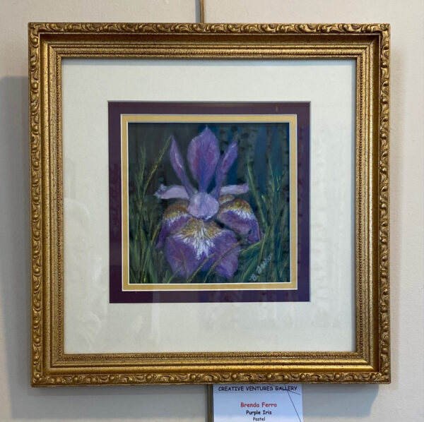 Purple Iris by Brenda Ferro