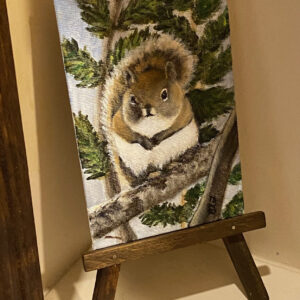 Red Squirrel by Brenda Ferro