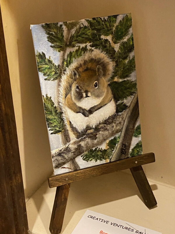 Red Squirrel by Brenda Ferro
