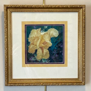 Yellow Iris by Brenda Ferro