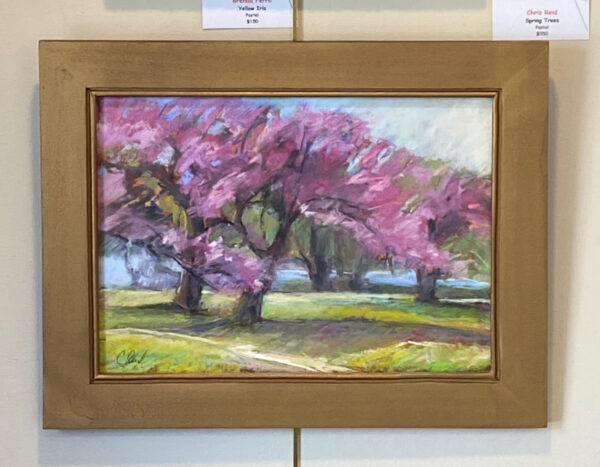 Spring Trees by Chris Reid