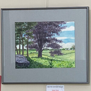 Ancient Import - Purple Beech by Diane Orzel