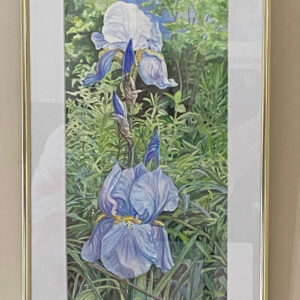 Bonnie Blues by Diane Orzel