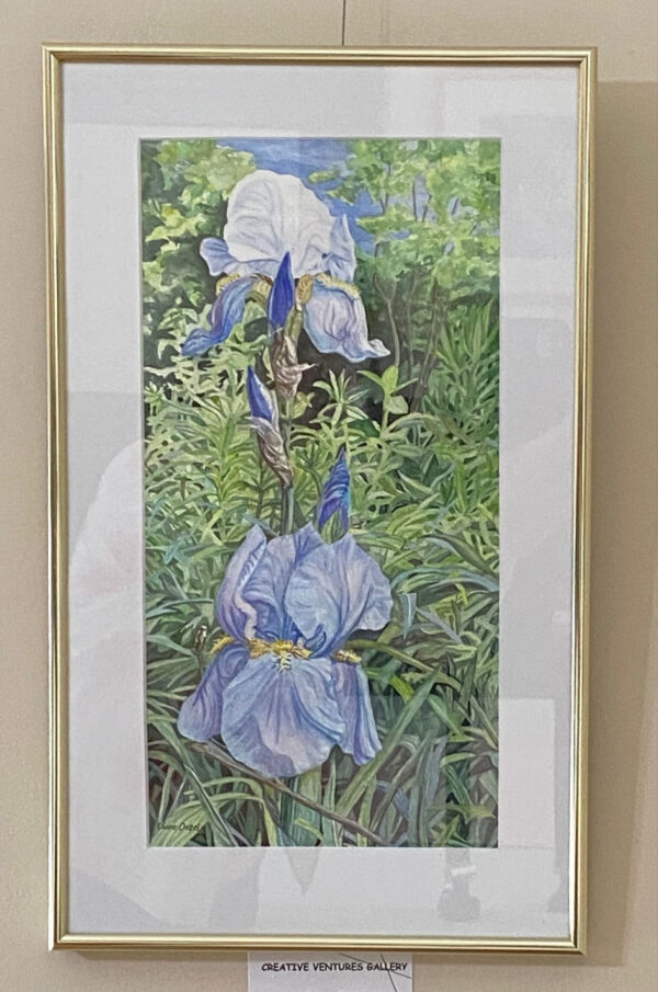Bonnie Blues by Diane Orzel