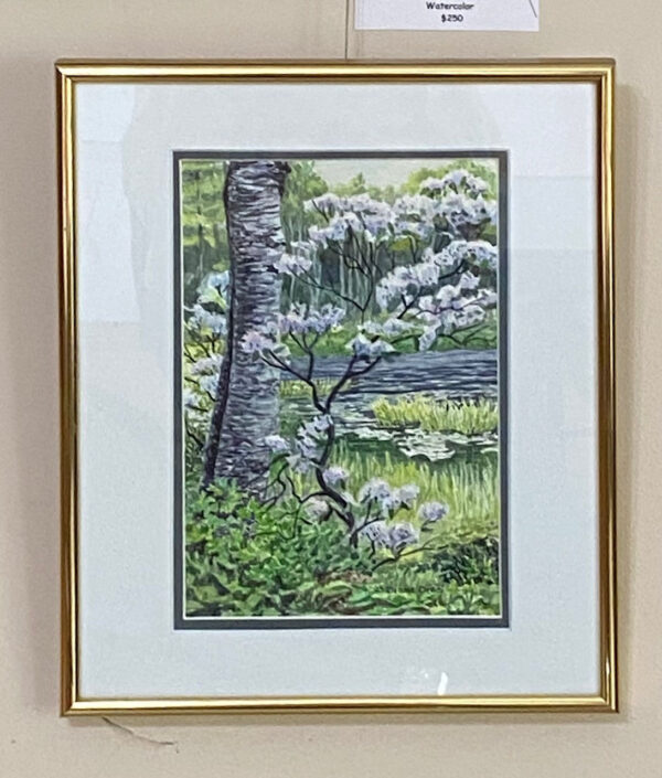 Mountain Laurel and Birch by Diane Orzel