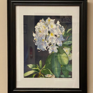 Rhododendron in Bloom by Esther Donlon