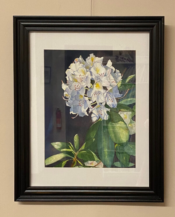 Rhododendron in Bloom by Esther Donlon