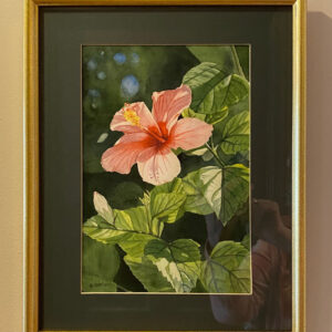Tropical Hibiscus by Esther Donlon