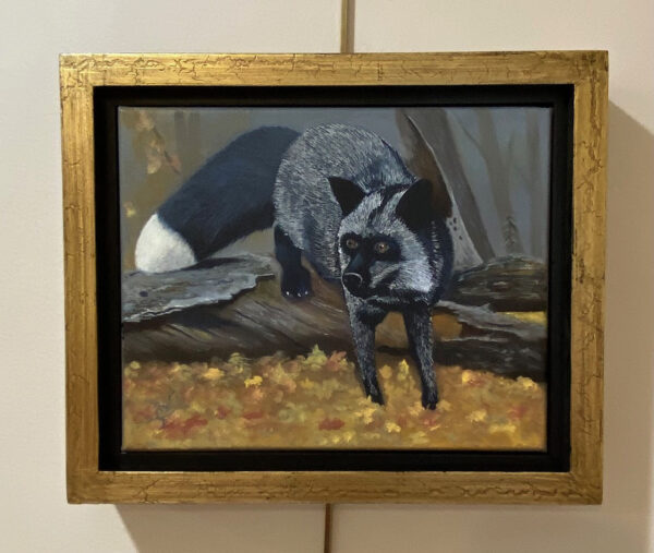 Silver Fox by William Cheever Turner