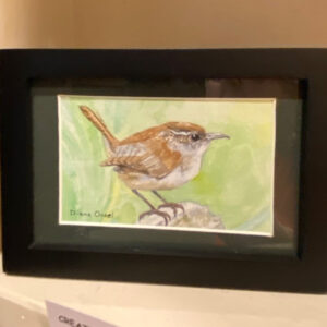 Carolina Wren by Diane Orzel