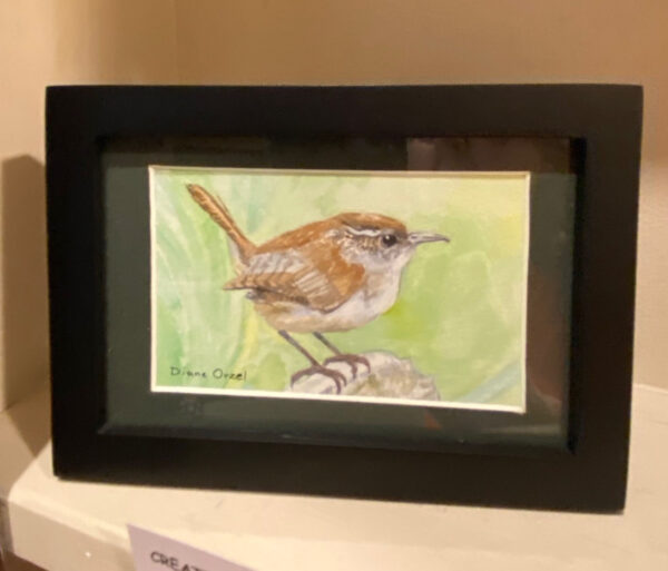 Carolina Wren by Diane Orzel