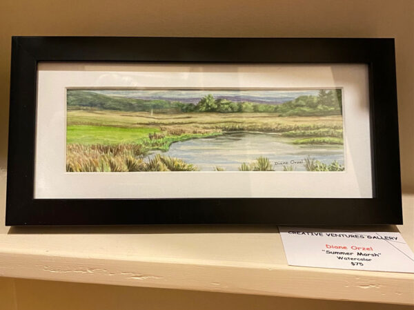 Summer Marsh by Dine Orzel