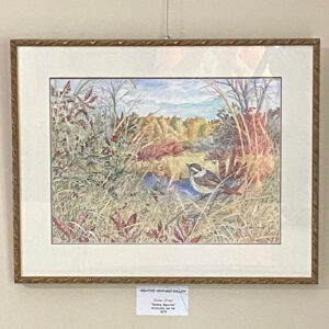 Swamp Sparrow by Diane Orzel