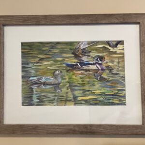 Woodducks by Diane Orzel