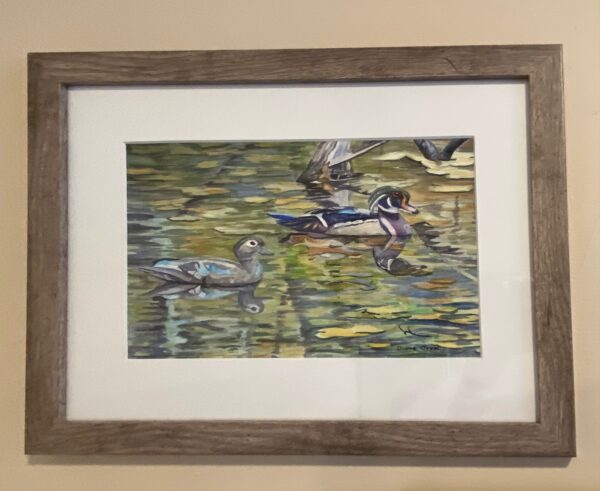Woodducks by Diane Orzel