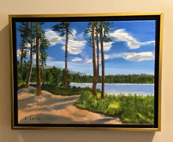 Lake in the Woods by Cathy Eaton
