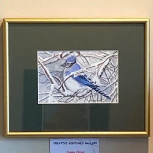 Blue Jay by Diane Orzel