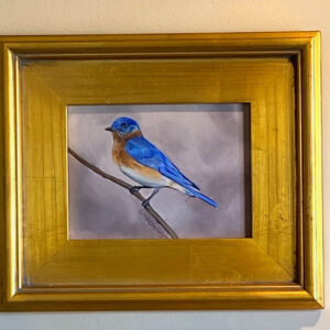 Bluebird by Linda Salisbury