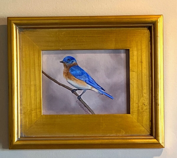 Bluebird by Linda Salisbury