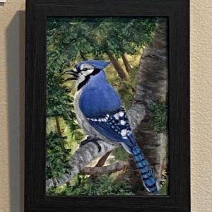 Blue Jay - Sounding Off by Brenda Ferro