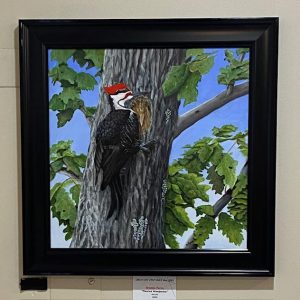 Pileated Woodpecker by Brenda Ferro