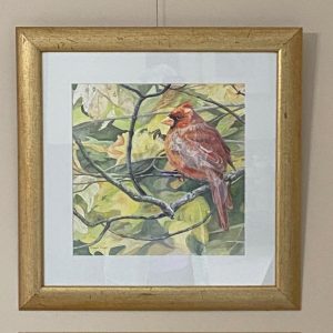 Fall Cardinals by Diane Orzel