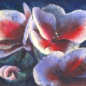 A close-up painting from the Sunday Pastel or Oil Painting Class with Betsy Craumer: three white & pink flowers, green leaves.