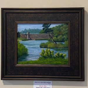 Everett Dam, Clough State Park by Sharon Allen