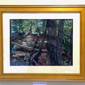 In Sun and Shadow by Brenda Ferro