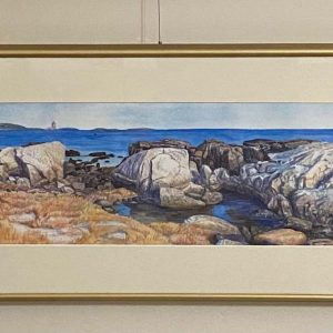 Odion Point by Diane Orzel