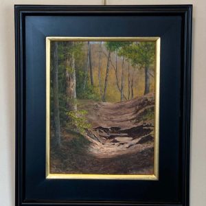 The Hollow by Jim O'Donnell