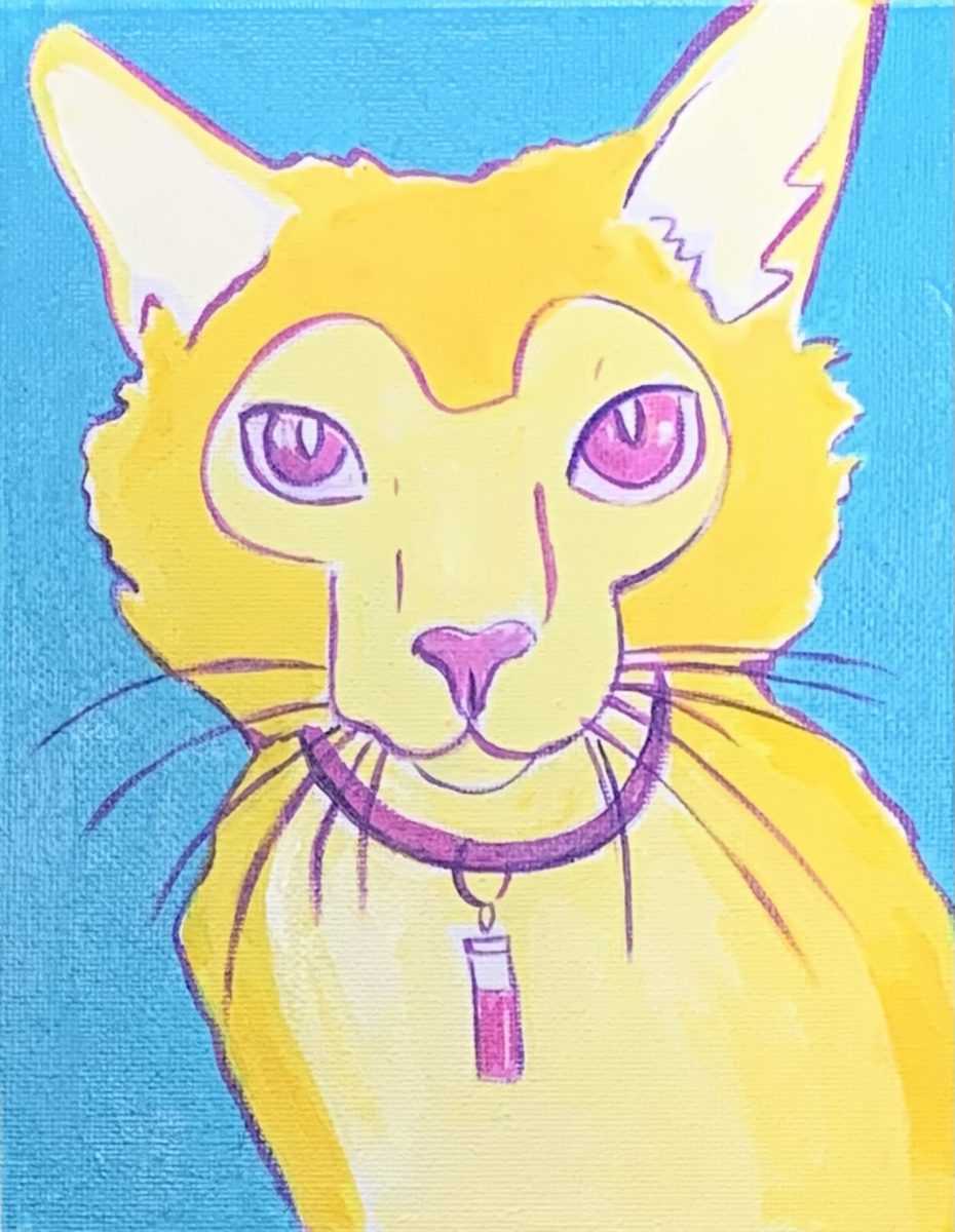 Pop Art Pet by Lisa Salerno