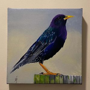 Common Starling by William Cheever Turner