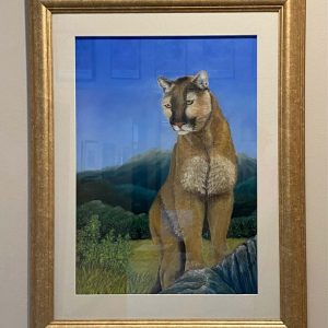 The Huntress by Brenda Ferro