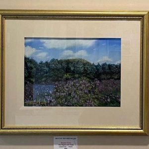 Joe English with Purple Loosestrife by Brenda Ferro