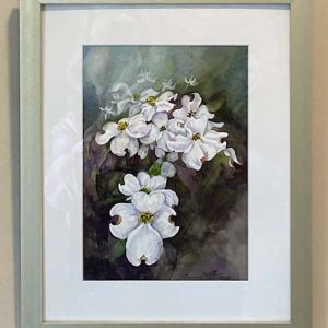 Dogwood Blooms by Susan Peterson