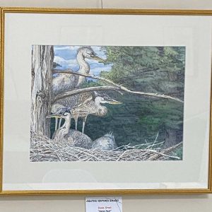 Heron's Nest by Diane Orzel