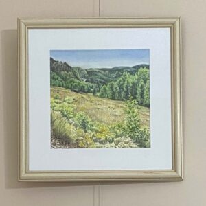 Cumbres Pass Meadow by Diane Orzel